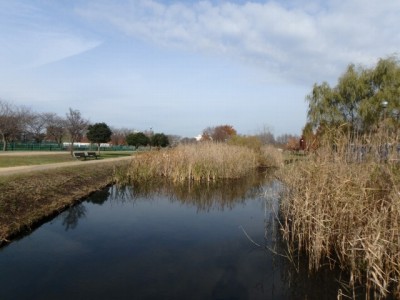 七里総合公園の写真28