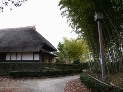 浦和くらしの博物館民家園の写真6