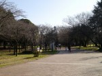 彩の森入間公園の写真のサムネイル写真2