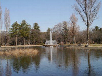 彩の森入間公園の写真6