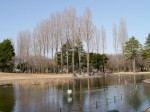 彩の森入間公園の写真のサムネイル写真9