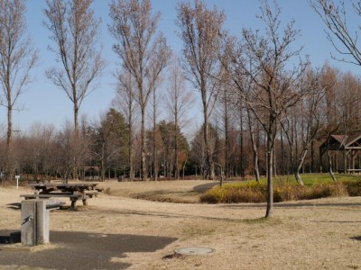 彩の森入間公園の写真10