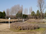 彩の森入間公園の写真のサムネイル写真12