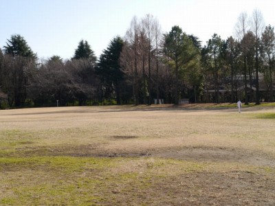 彩の森入間公園の写真13