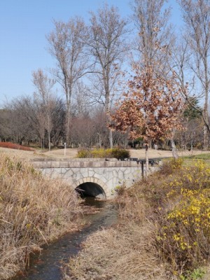 彩の森入間公園の写真14