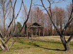 彩の森入間公園の写真のサムネイル写真15