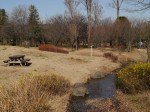 彩の森入間公園の写真のサムネイル写真16