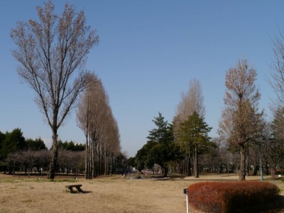 彩の森入間公園の写真17