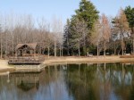 彩の森入間公園の写真のサムネイル写真19