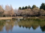 彩の森入間公園の写真のサムネイル写真20