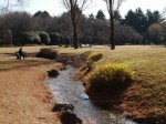 彩の森入間公園の写真のサムネイル写真23