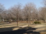 彩の森入間公園の写真のサムネイル写真26