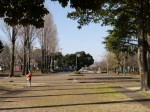 彩の森入間公園の写真のサムネイル写真28