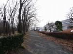 遺跡の森総合公園の写真のサムネイル写真9