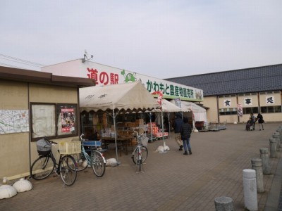 道の駅かわもとの写真2