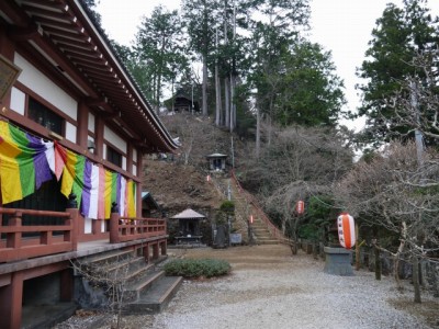 子ノ権現天龍寺の写真29