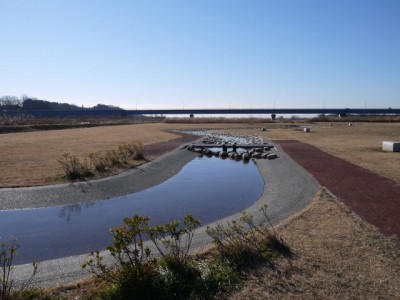 北本水辺プラザ公園の写真3