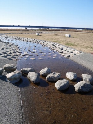 北本水辺プラザ公園の写真4