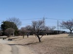 石田堤史跡公園の写真のサムネイル写真28