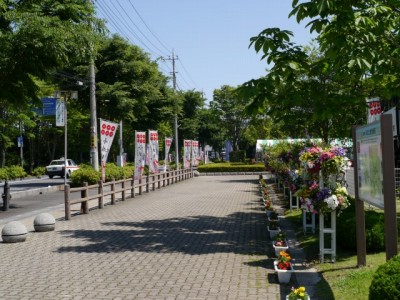 こうのす花まつり、市役所（せせらぎ公園）周辺の様子の写真