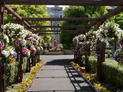 こうのす花まつり、市役所（せせらぎ公園）周辺の様子の写真4