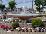 こうのす花まつり、市役所（せせらぎ公園）周辺の様子の写真のサムネイル写真5