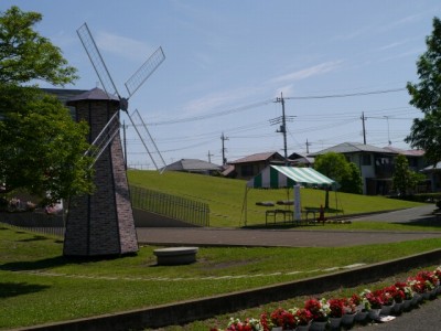 こうのす花まつり、市役所（せせらぎ公園）周辺の様子の写真17