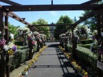 こうのす花まつり、市役所（せせらぎ公園）周辺の様子の写真のサムネイル写真24