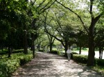 三橋総合公園の写真のサムネイル写真2