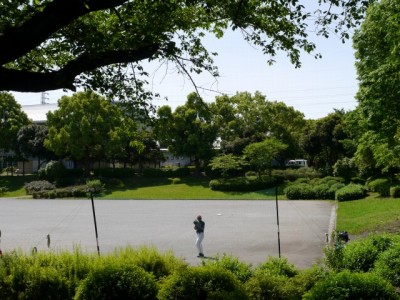 三橋総合公園の写真3