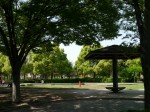 三橋総合公園の写真のサムネイル写真4