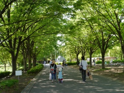 三橋総合公園の写真5