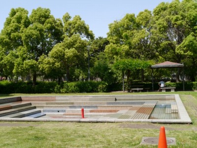 三橋総合公園の写真6