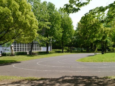 三橋総合公園の写真12