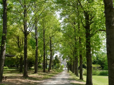 三橋総合公園の写真14