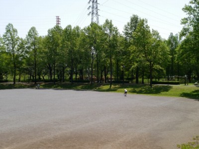 三橋総合公園の写真15