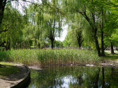 三橋総合公園の写真19