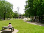 三橋総合公園の写真のサムネイル写真23