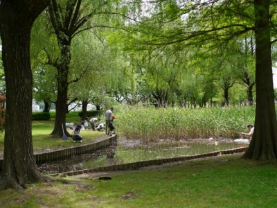 三橋総合公園の写真25