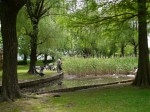 三橋総合公園の写真のサムネイル写真25