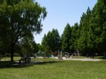三橋総合公園の写真のサムネイル写真42