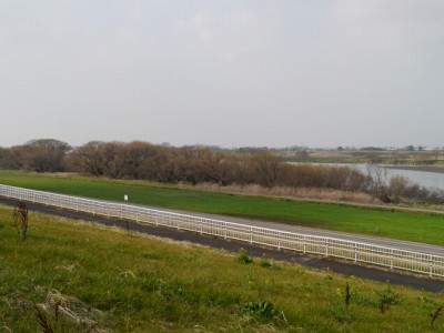 利根川河川敷 緑地公園の写真