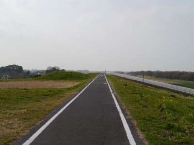 利根川河川敷 緑地公園の写真2