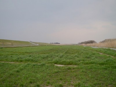 利根川河川敷 緑地公園の写真21