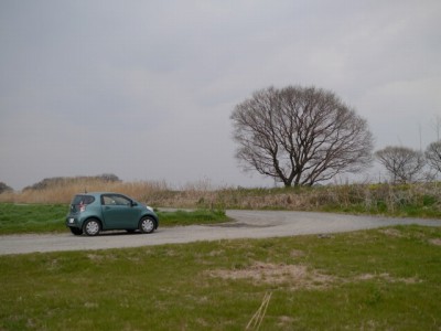 利根川河川敷 緑地公園の写真26