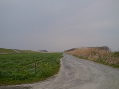 利根川河川敷 緑地公園の写真28