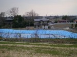 利根川河川敷 緑地公園の写真のサムネイル写真30