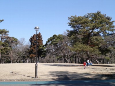 狭山稲荷山公園の写真2