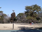 狭山稲荷山公園の写真のサムネイル写真2