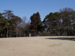 狭山稲荷山公園の写真のサムネイル写真4